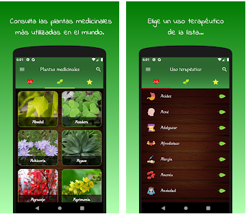 Las mejores apps de plantas medicinales