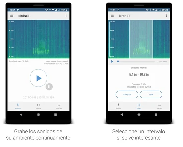 Las mejores apps para identificar aves