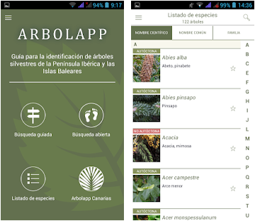 Las mejores apps para identificar plantas