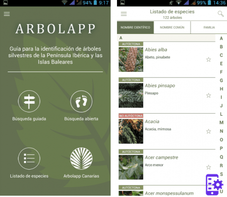 Las mejores apps para identificar plantas