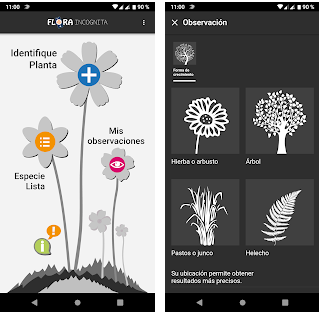 Las mejores apps para identificar plantas