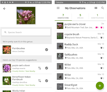 Las mejores apps para identificar plantas