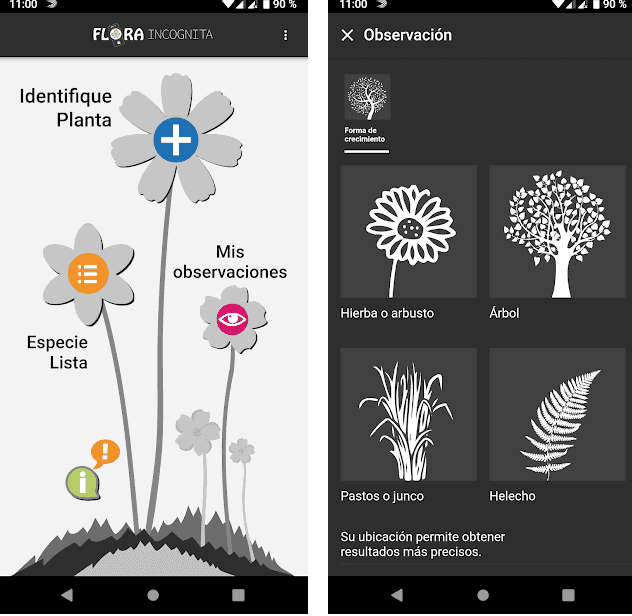 Las mejores apps para identificar plantas