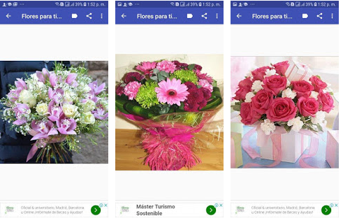 Las mejores apps para enviar flores